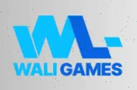 Provider Wali Games