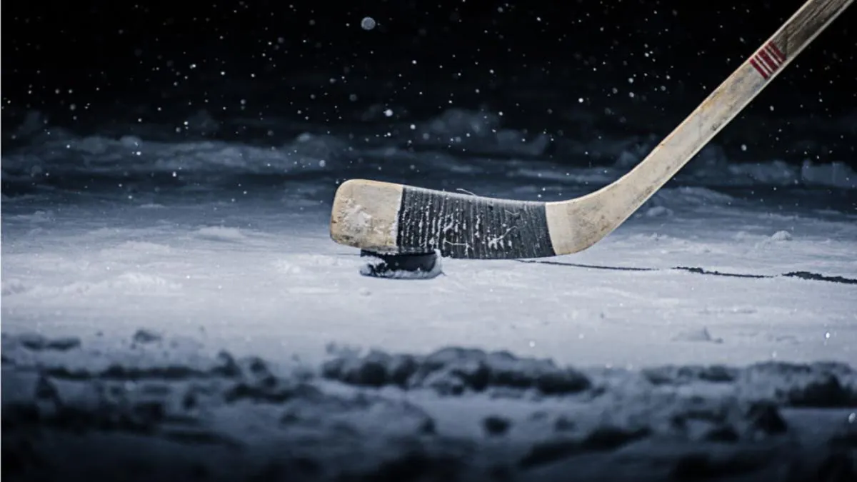 hockey stick